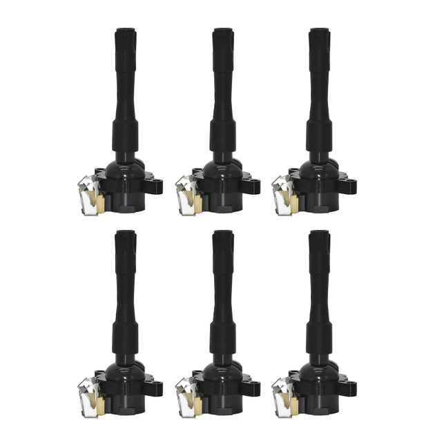 OE 12131748017 12131748018 BMW Zapalovac&iacute; c&iacute;vka | Vhodn&eacute; pro BMW 1999, BMW 323i, 2000 BMW 323i, 328i, 528i E39 E46