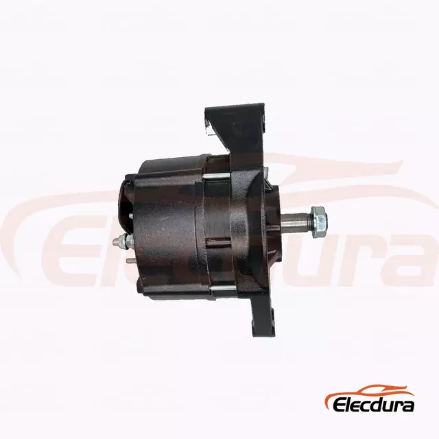 452671 Altern&aacute;tor pro Thermo King 12V 120A Bulk Supply