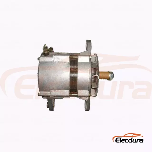 100211-0890 Alternatore Caterpillar 966 24V 50A per fornitura all'ingrosso