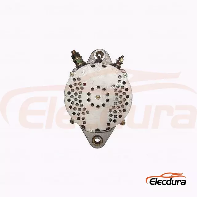 100211-0890 Alternatore Caterpillar 966 24V 50A per fornitura all'ingrosso